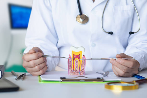 Best Emergency Dental Care for Abscessed Tooth in Bradner, OH